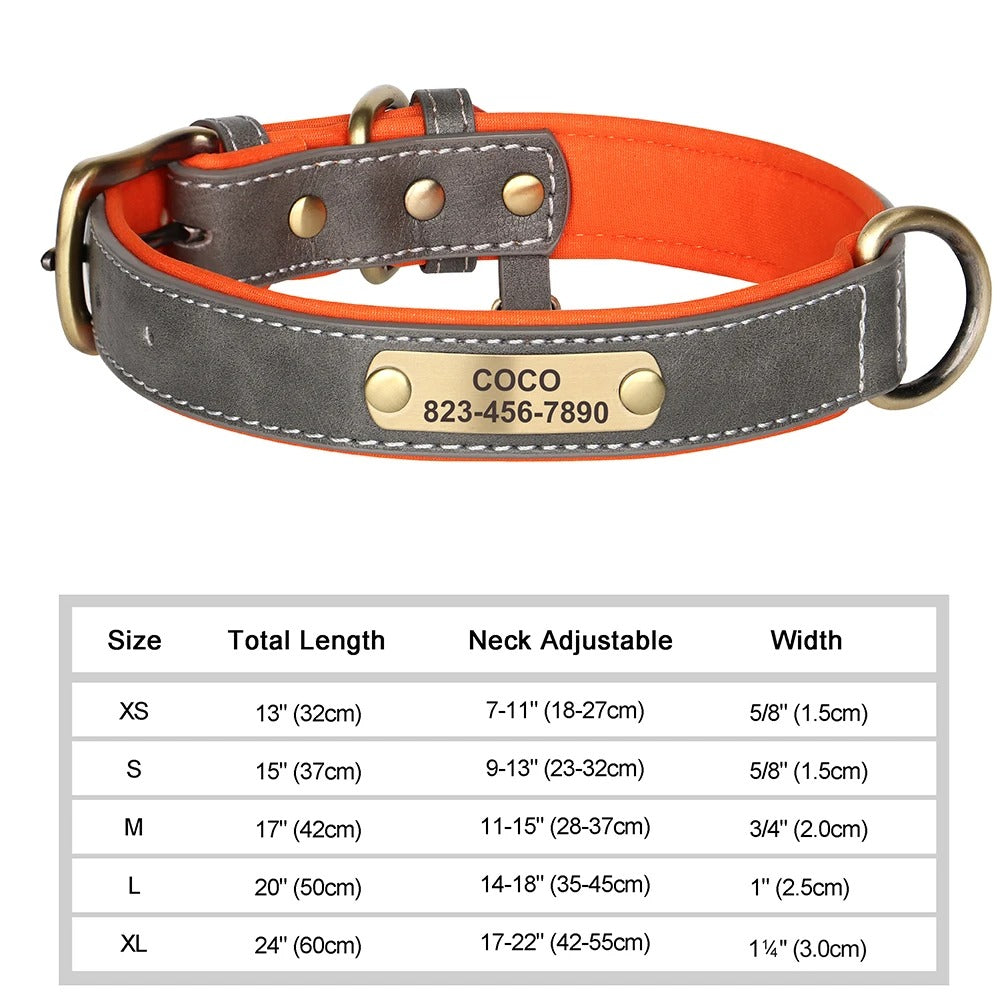 Personalized Dog Collar Custom Engraved