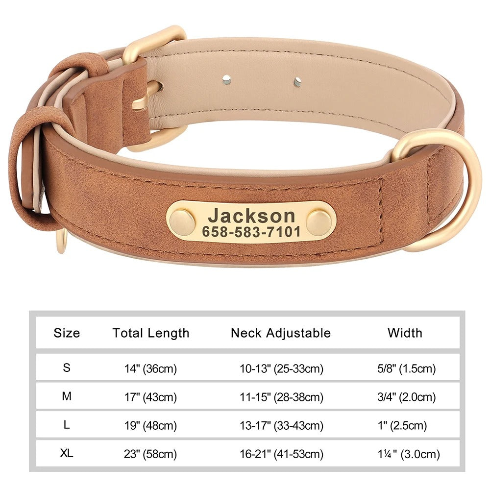 Personalized Dog Collar Custom Engraved