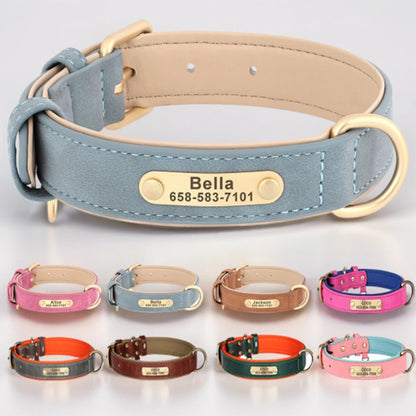 Personalized Dog Collar Custom Engraved