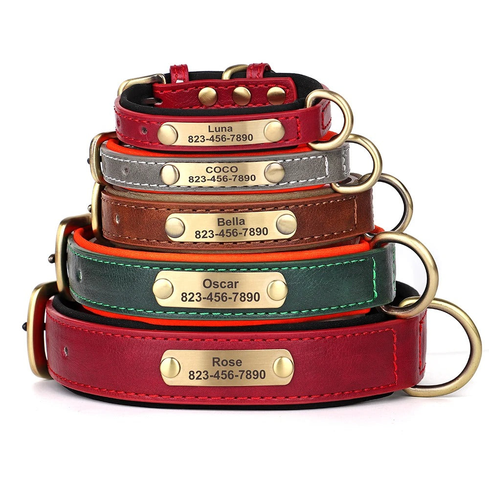 Personalized Dog Collar Custom Engraved