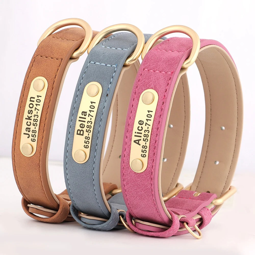 Personalized Dog Collar Custom Engraved