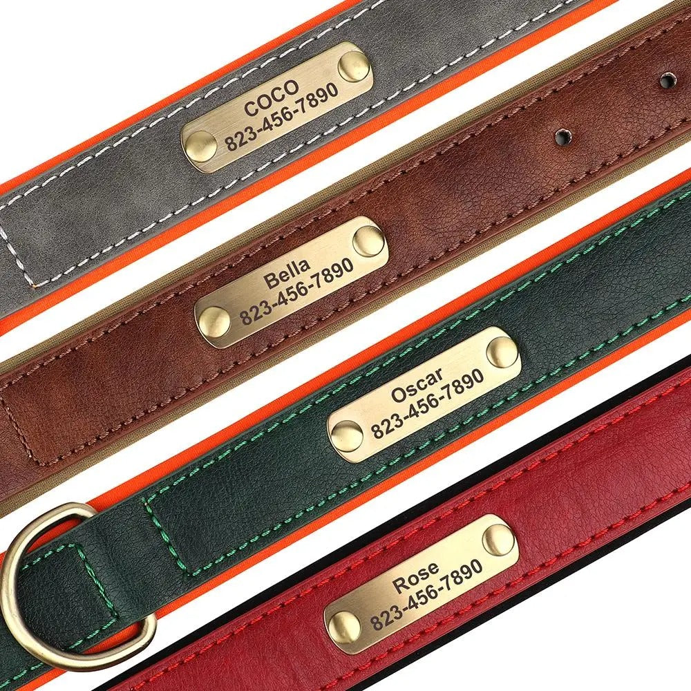 Personalized Dog Collar Custom Engraved