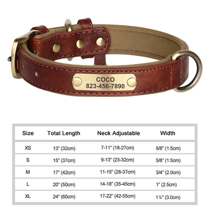 Personalized Dog Collar Custom Engraved